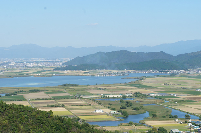 SONY DSC
