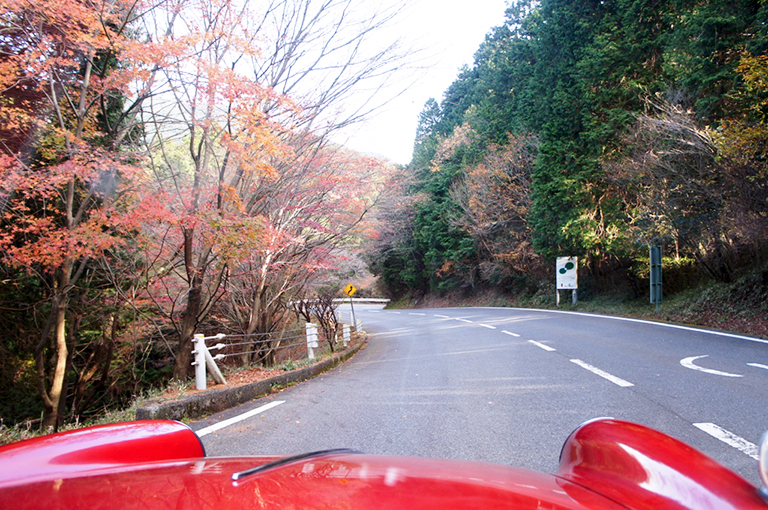 SONY DSC